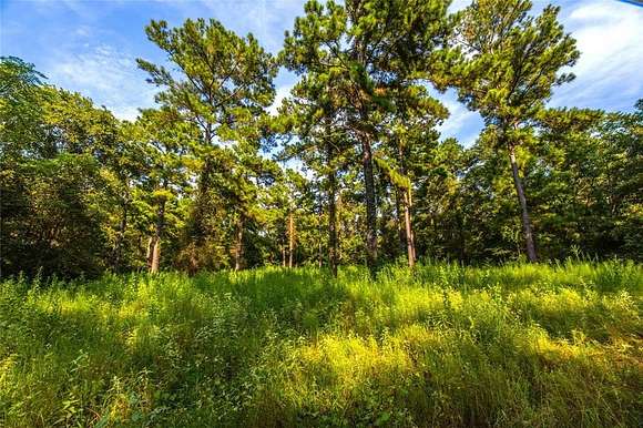 92 Acres of Land for Sale in Frankston, Texas