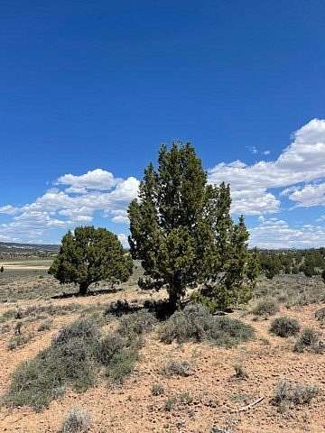 80 Acres of Recreational Land & Farm for Sale in Hatch, Utah