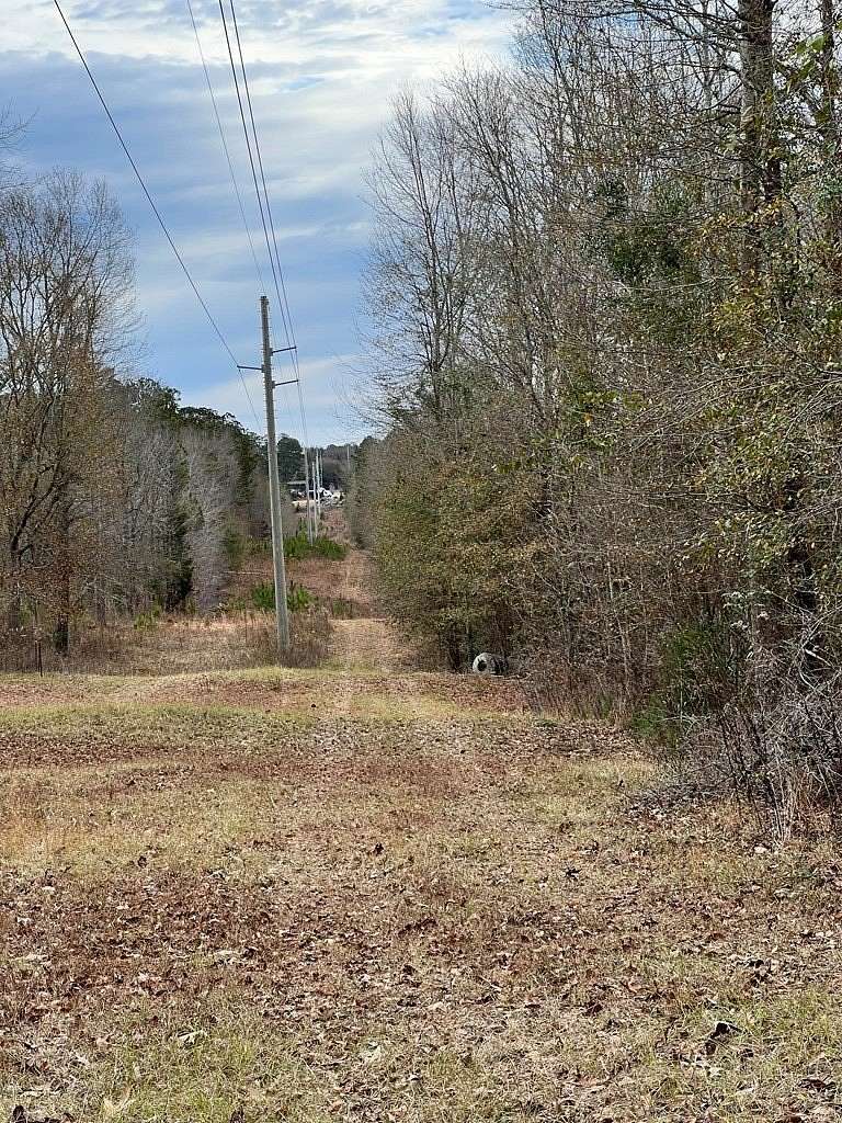 42 Acres of Recreational Land for Sale in Clayton, Alabama