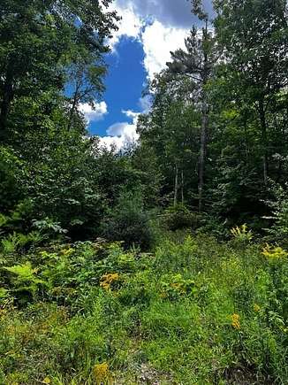 Residential Land for Sale in Poland, Maine