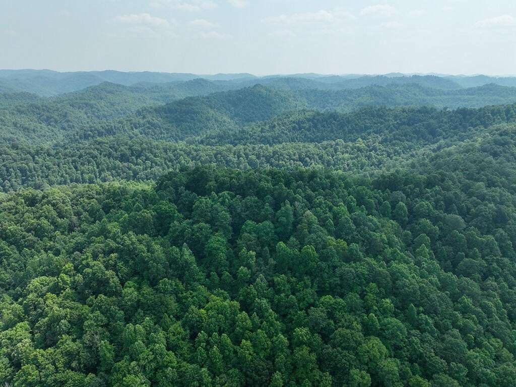 130 Acres of Recreational Land for Sale in Manchester, Kentucky