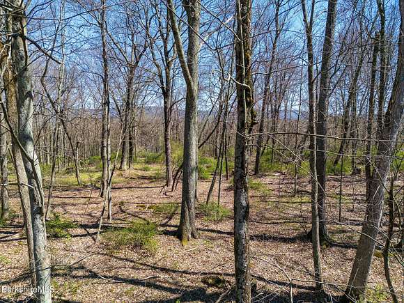 12.27 Acres of Land for Sale in Copake, New York