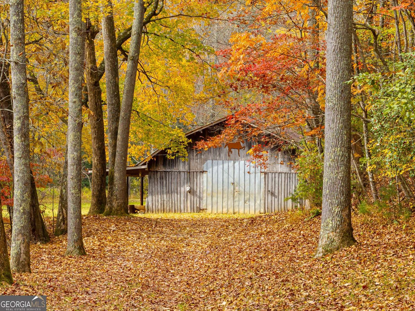 17.61 Acres of Land with Home for Sale in Blue Ridge, Georgia