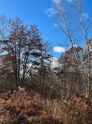 Washburn County Buildable Acreage