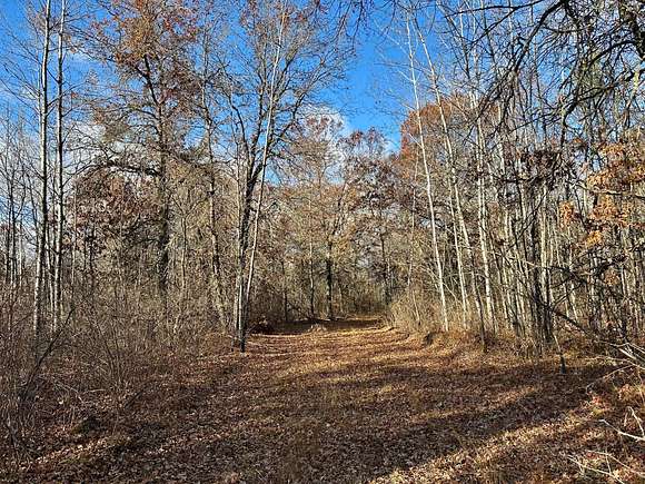 Easy Walking Trails On The Property