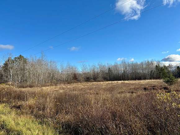 Mixture Of Meadow and Woods