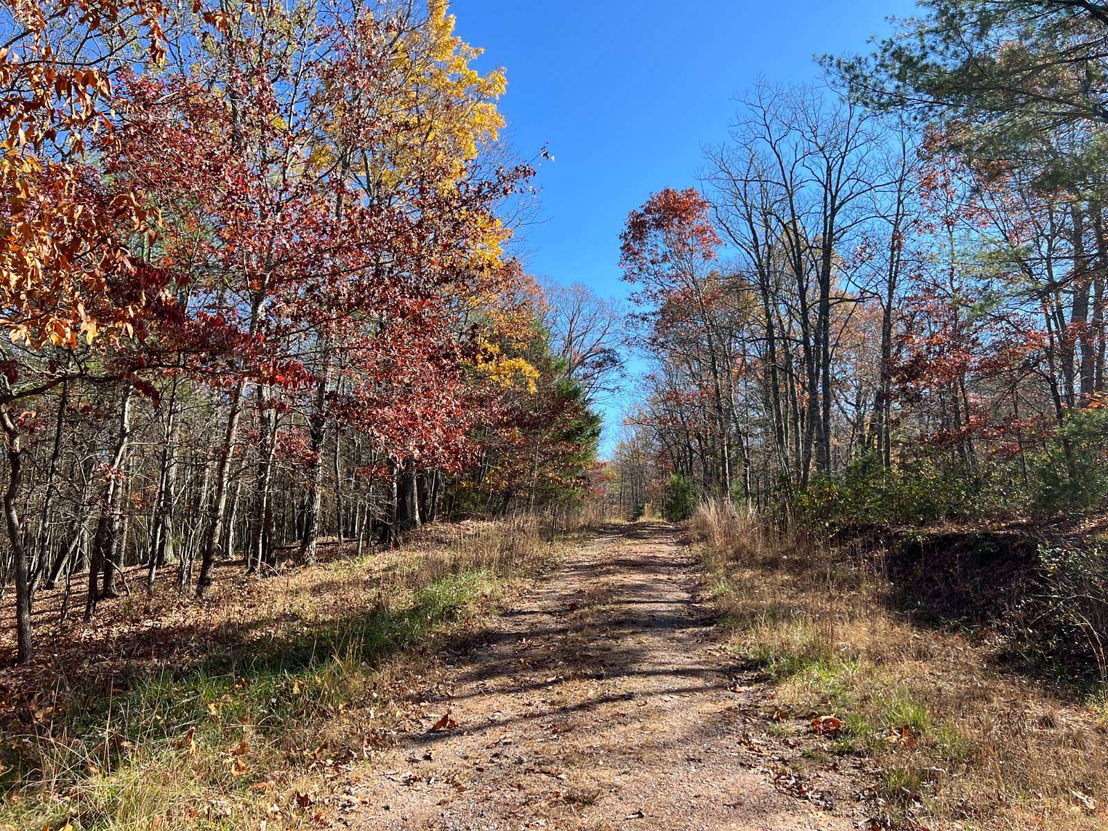 20 Acres of Land for Sale in Dayton, Virginia