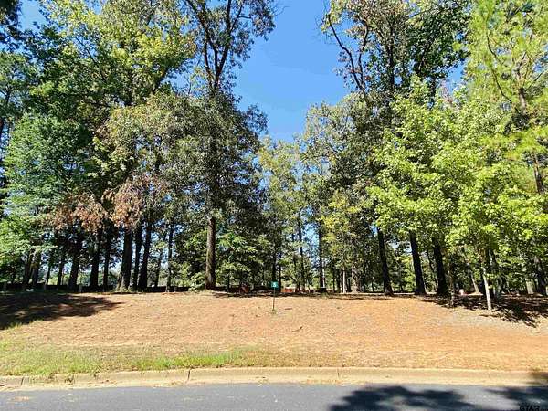 0.57 Acres of Residential Land for Sale in Frankston, Texas