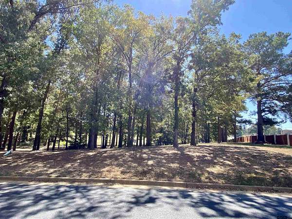 0.7 Acres of Residential Land for Sale in Frankston, Texas