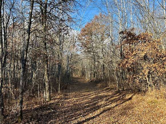 Secluded Building or RV Site