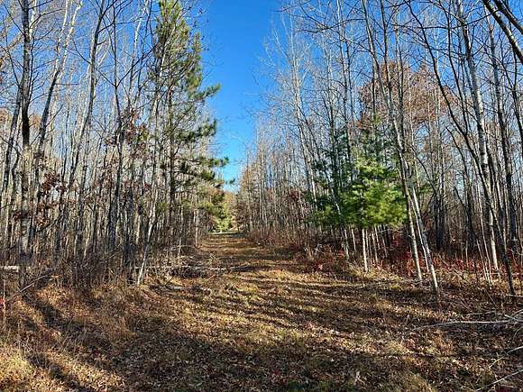 5.19 Acres of Land for Sale in Springbrook, Wisconsin