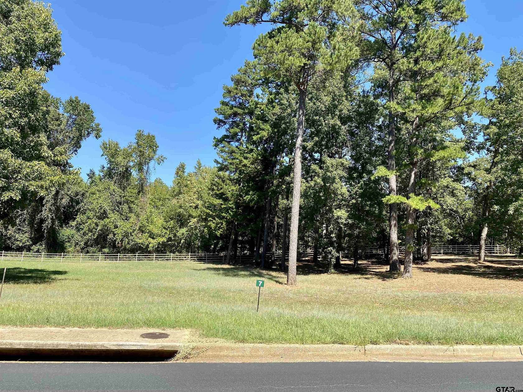 0.42 Acres of Residential Land for Sale in Frankston, Texas