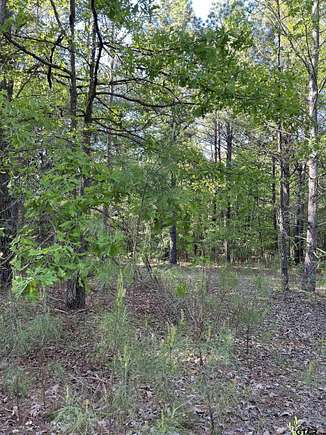 8 Acres of Recreational Land for Sale in Troup, Texas