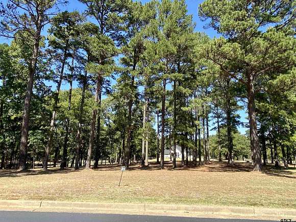 0.379 Acres of Residential Land for Sale in Frankston, Texas