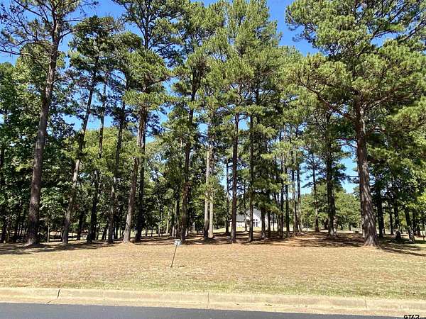 0.38 Acres of Residential Land for Sale in Frankston, Texas