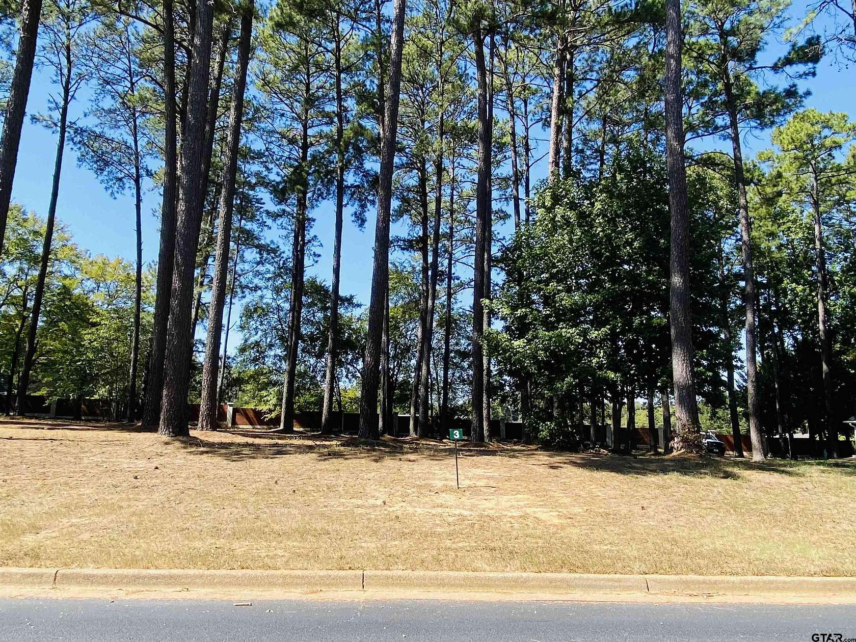 0.42 Acres of Residential Land for Sale in Frankston, Texas