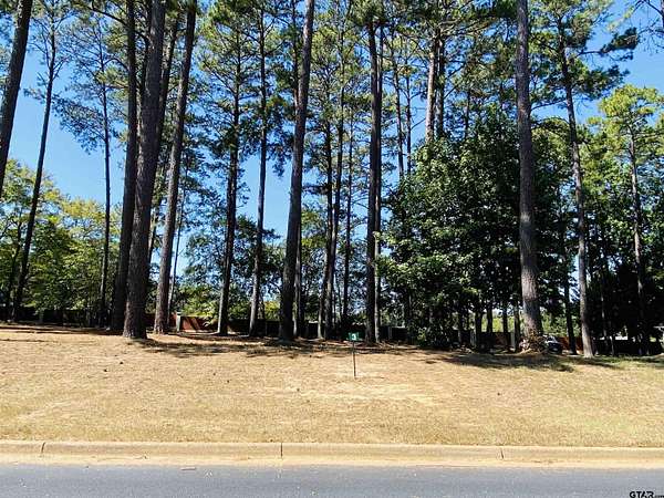 0.42 Acres of Residential Land for Sale in Frankston, Texas