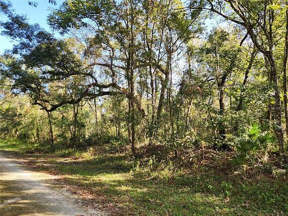 1.16 Acres of Residential Land for Sale in Webster, Florida