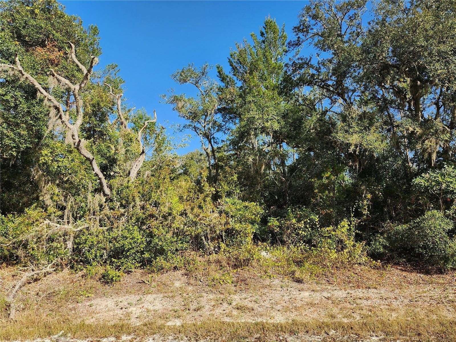 0.79 Acres of Residential Land for Sale in Webster, Florida