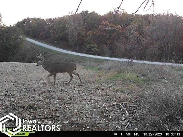 40 Acres of Recreational Land & Farm for Sale in Cincinnati, Iowa