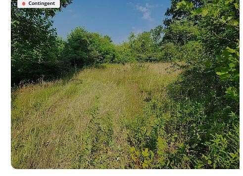 10 Acres of Agricultural Land for Sale in Olive Hill, Kentucky