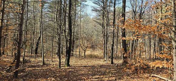 53 Acres of Land for Sale in Gilmanton, New Hampshire