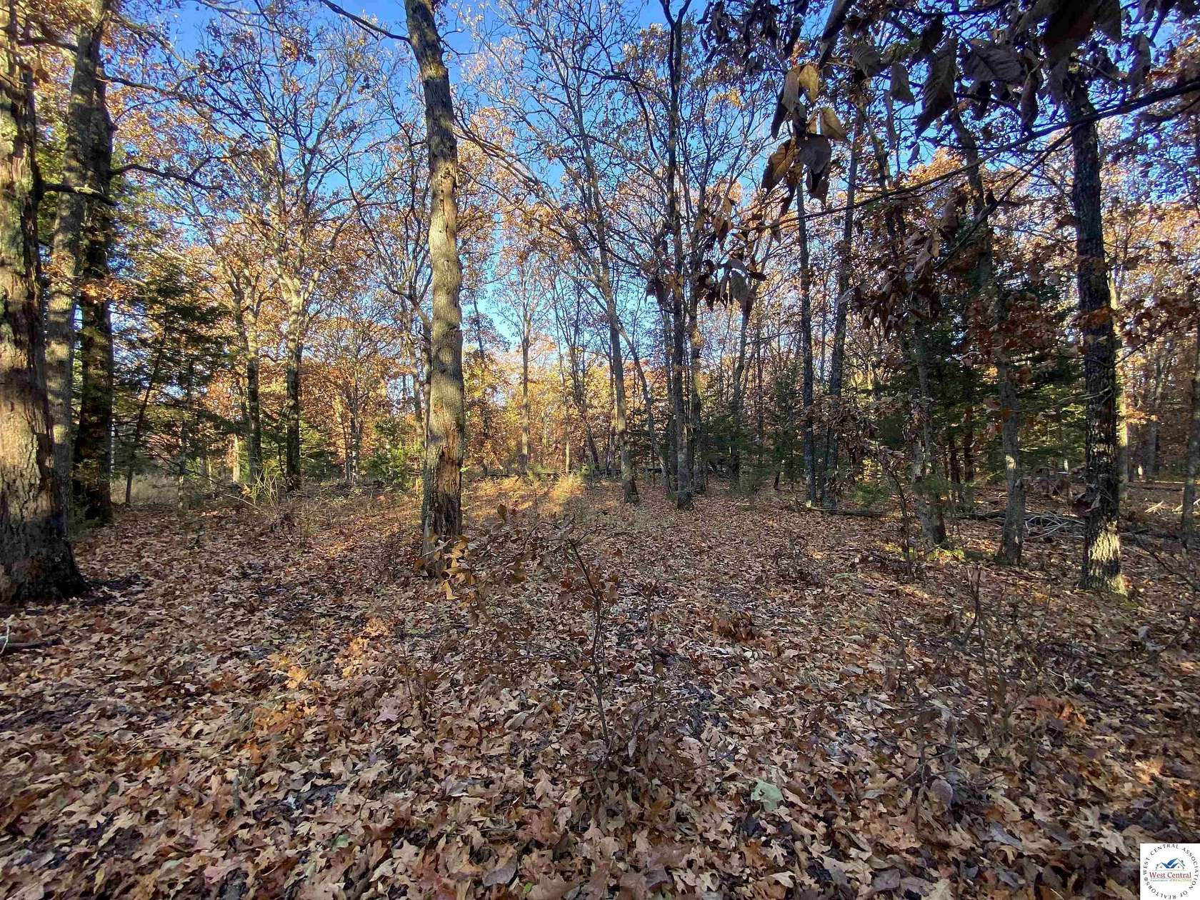 103 Acres of Land for Sale in Osceola, Missouri