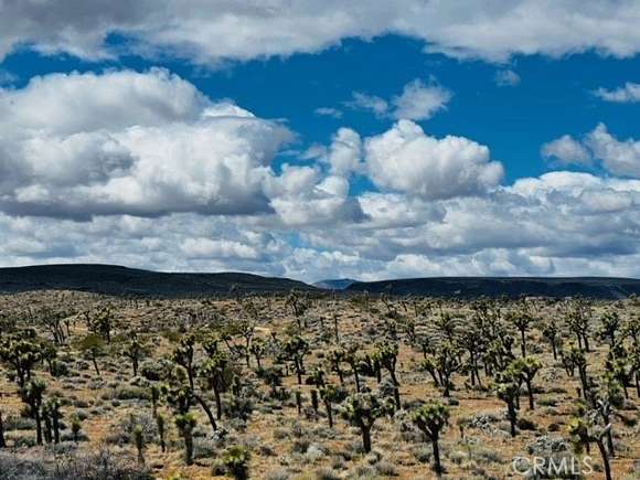 2.34 Acres of Residential Land for Sale in Yucca Valley, California