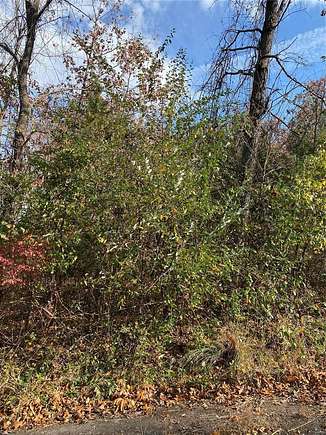 0.44 Acres of Residential Land for Sale in Waynesville, Missouri