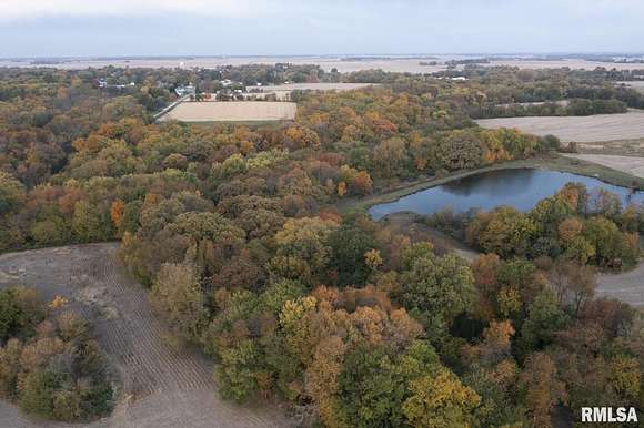 45 Acres of Land for Sale in Wataga, Illinois