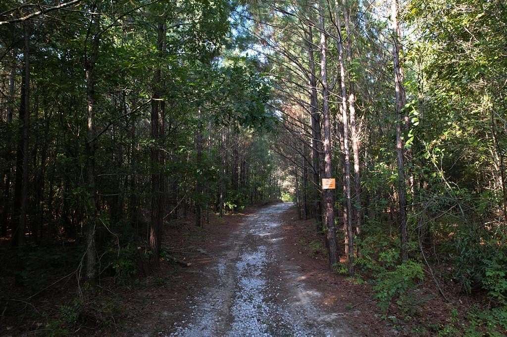 34.44 Acres of Land for Sale in Chatsworth, Georgia