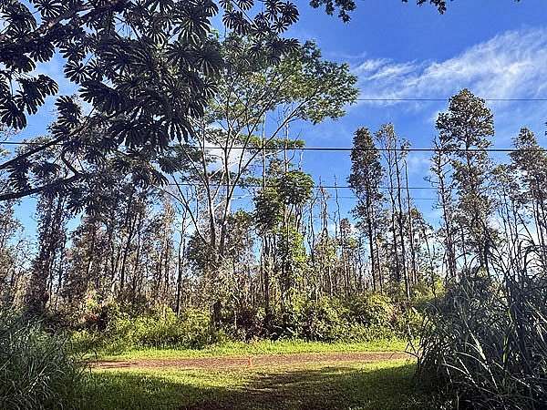 0.191 Acres of Residential Land for Sale in Pahoa, Hawaii