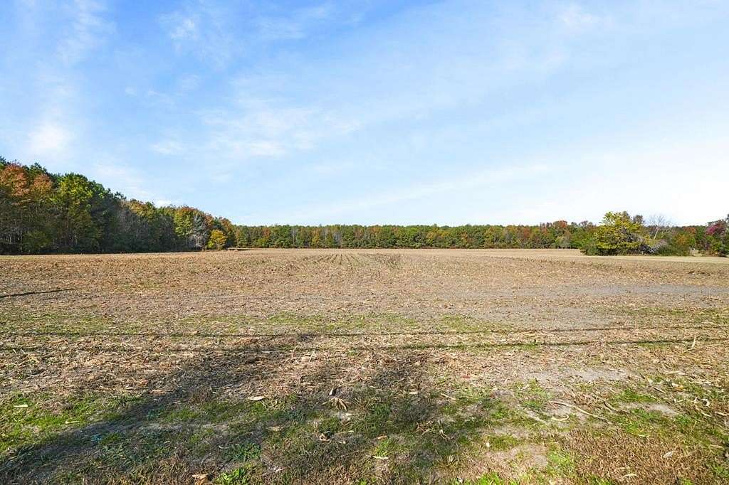 36.5 Acres of Agricultural Land for Sale in Bloxom, Virginia