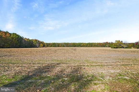 36.5 Acres of Agricultural Land for Sale in Bloxom, Virginia