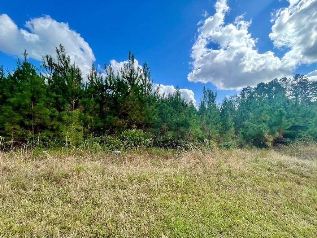 35.64 Acres of Recreational Land & Farm for Sale in Reidsville, Georgia