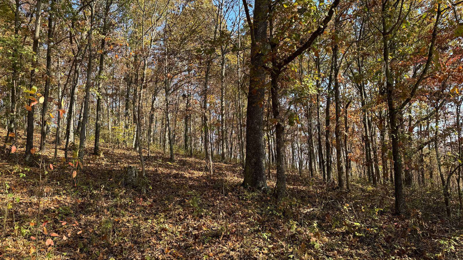 71 Acres of Recreational Land for Sale in Eagle Township, Ohio