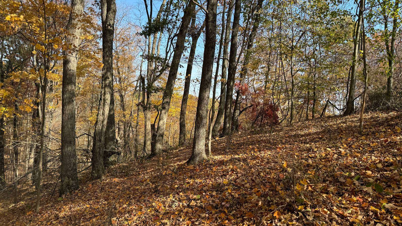 71 Acres of Recreational Land for Sale in Eagle Township, Ohio