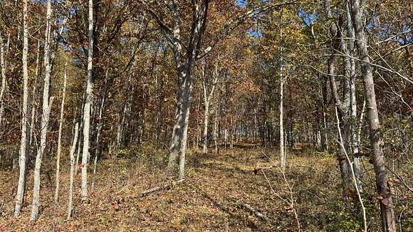 71 Acres of Recreational Land for Sale in Eagle Township, Ohio