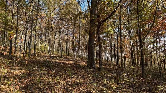 71 Acres of Recreational Land for Sale in Eagle Township, Ohio