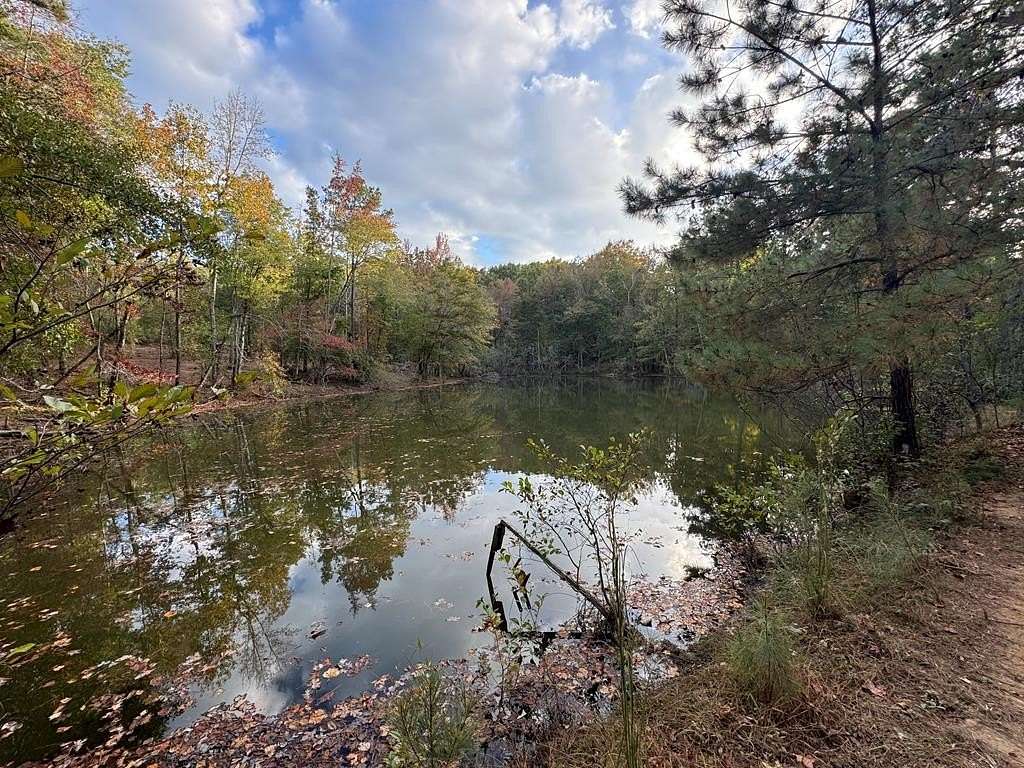 18 Acres of Land for Sale in Troy, Alabama