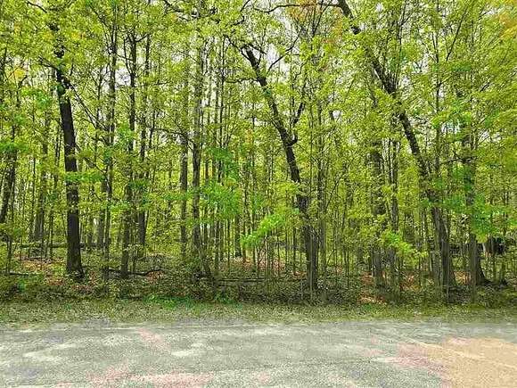 Land for Sale in Houghton Lake, Michigan