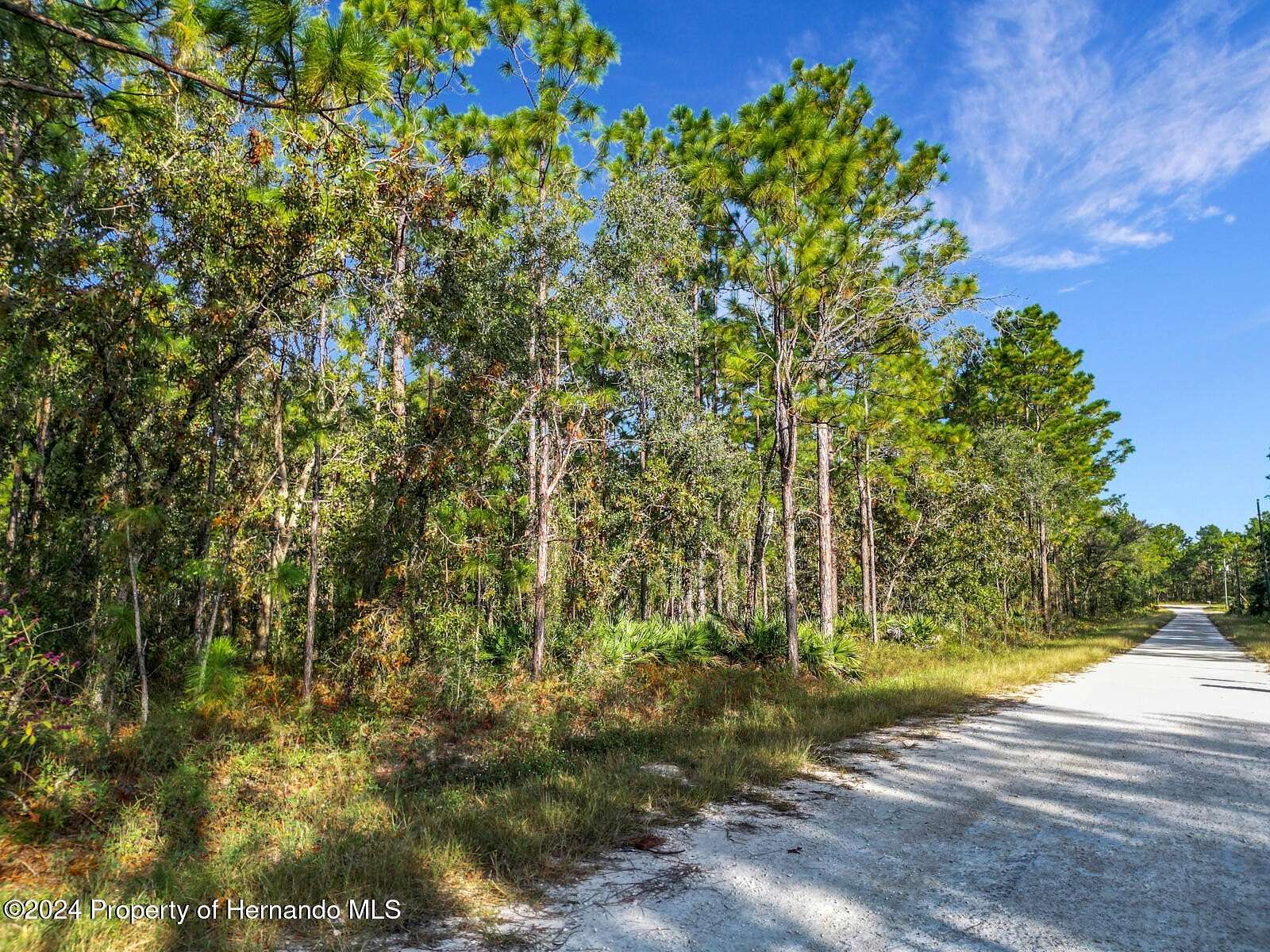 1 Acre of Residential Land for Sale in Weeki Wachee, Florida