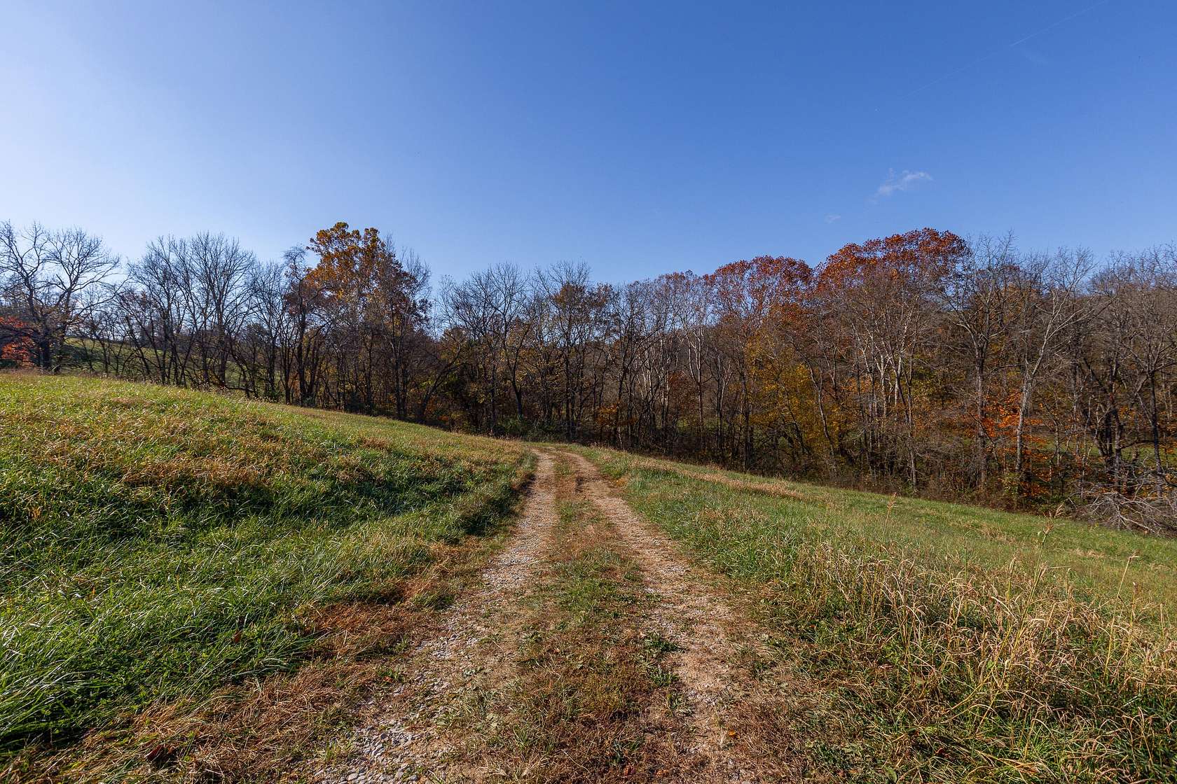 204 Acres of Land with Home for Sale in Carlisle, Kentucky