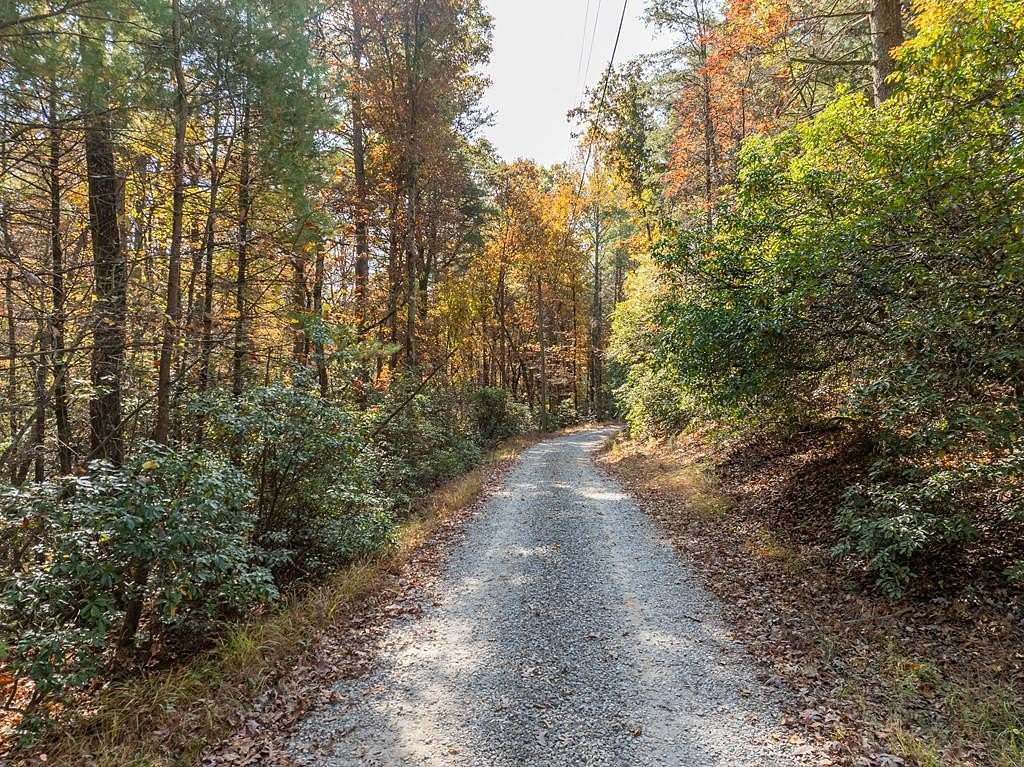 51.96 Acres of Recreational Land for Sale in Ellijay, Georgia