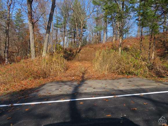 9.41 Acres of Land for Sale in Stuyvesant, New York