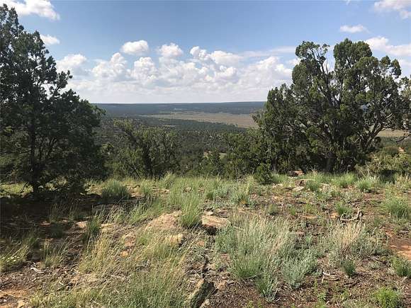 276 Acres of Agricultural Land for Sale in Glorieta, New Mexico