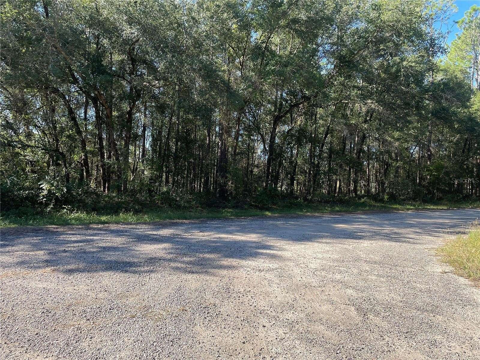 0.23 Acres of Residential Land for Sale in Dunnellon, Florida