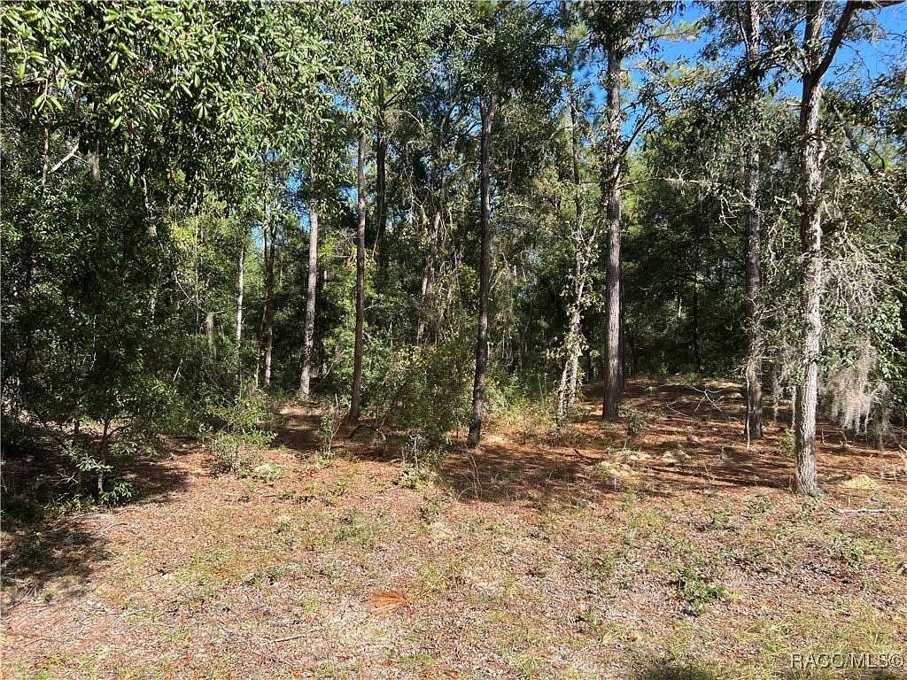 0.31 Acres of Residential Land for Sale in Dunnellon, Florida