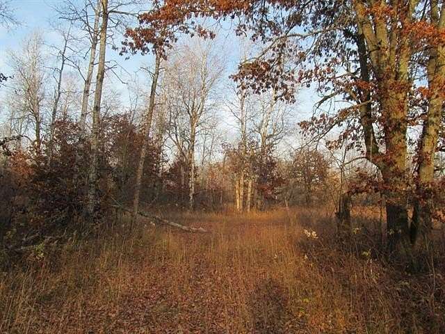 59.25 Acres of Recreational Land for Sale in Redding Township, Michigan