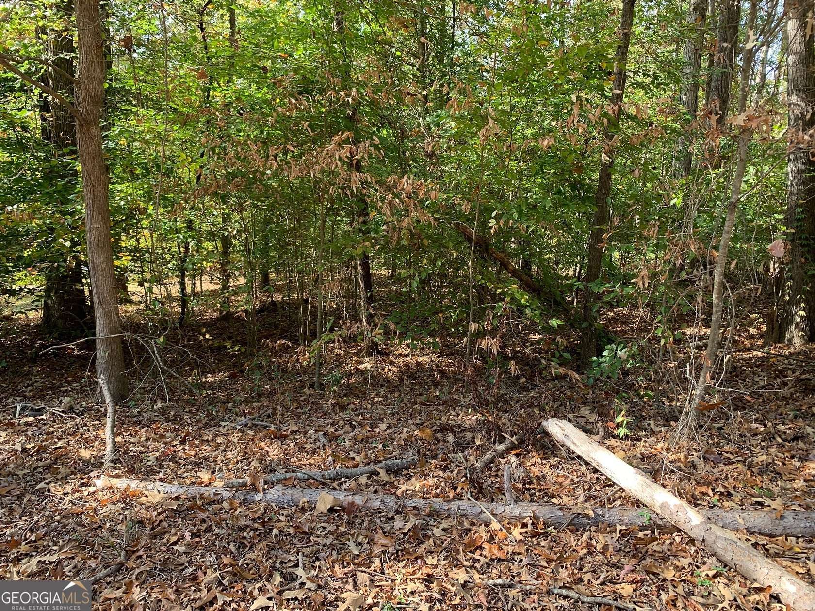 Land for Sale in Lavonia, Georgia